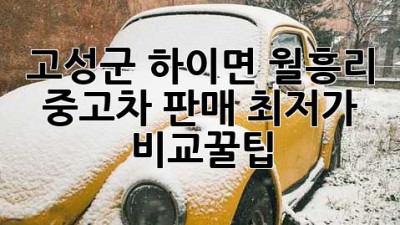 고성군 하이면 월흥리 중고차 판매, ✨최저가 비교꿀팁✨